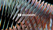 Holograph