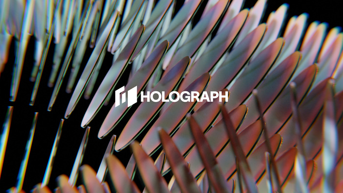 Holograph 1
