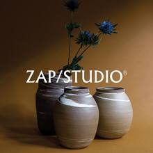 ZAP/STUDIO