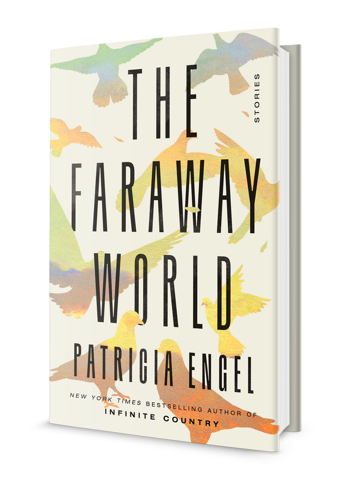 The Faraway World by Patricia Engel 3