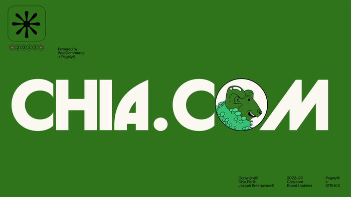 Chia website 4
