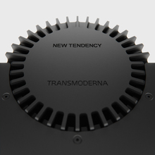 Transmoderna identity