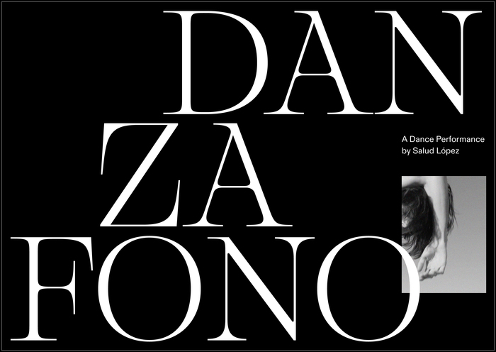 Danzafono 3.0 website 3
