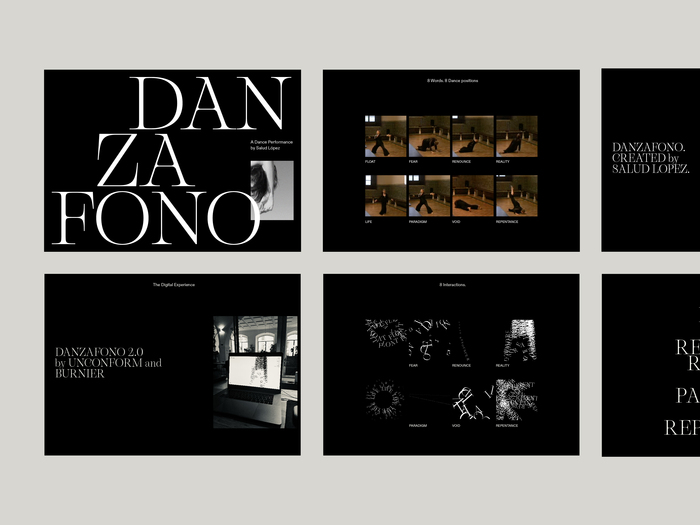 Danzafono 3.0 website 4