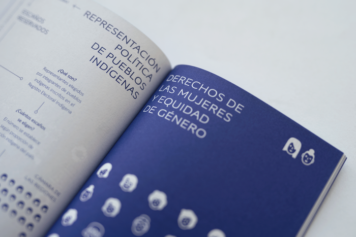 La nueva constitución de Chile con peras y manzanas by&nbsp;Plataforma&nbsp;Contexto 2