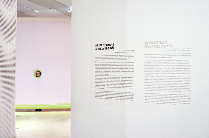 Erwin Wurm: One-Minute Works, Ludwig Museum 9
