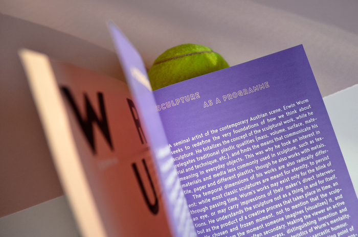 Erwin Wurm: One-Minute Works, Ludwig Museum 7