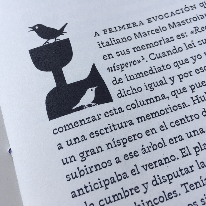 The text begins with a large initial letter from Violeta Jardinera, featuring two bird pictograms from Chercán’s glyph set.