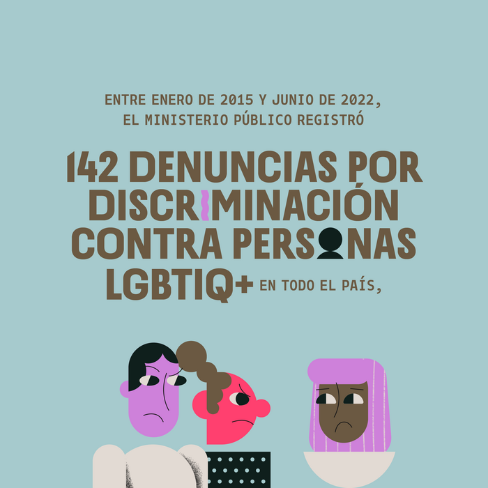 Miradas Diversas identity 6