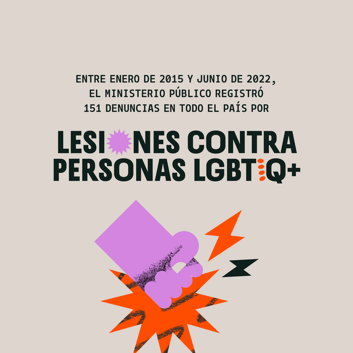 Miradas Diversas identity 5