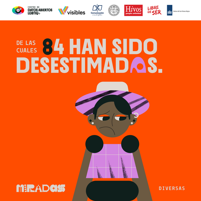 Miradas Diversas identity 8