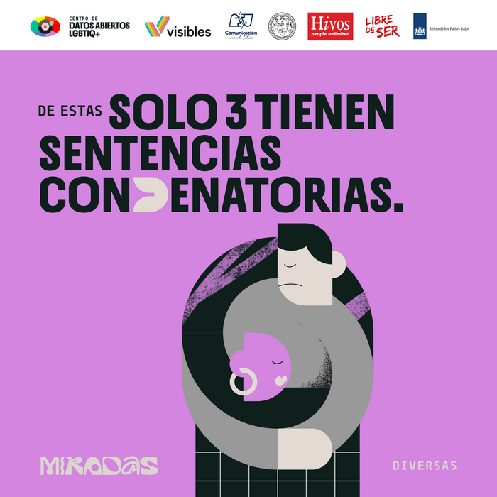 Miradas Diversas identity 10