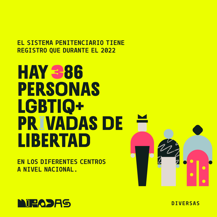 Miradas Diversas identity 11