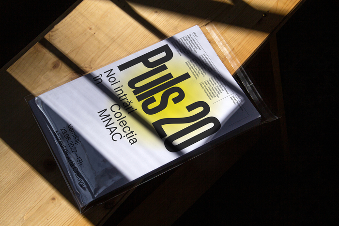 Puls 20 exhibition identity 2