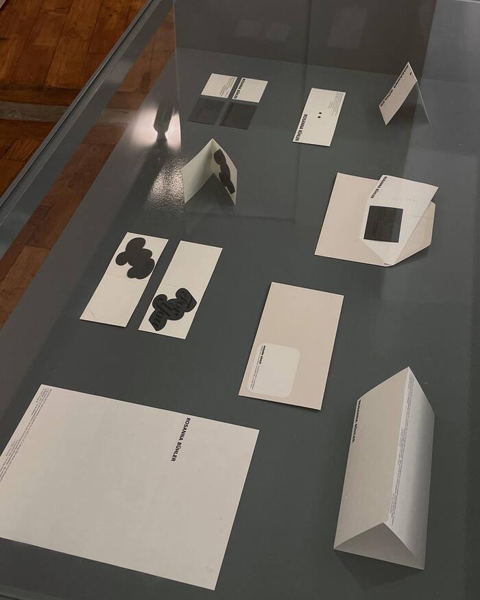 Rosanna Bühler identity 7