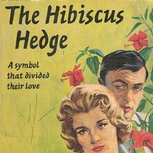 <cite>The Hibiscus Hedge</cite> by Marjorie Warby
