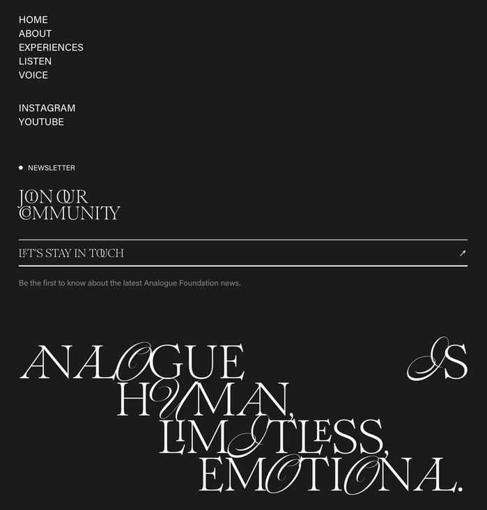 Analogue Foundation 12