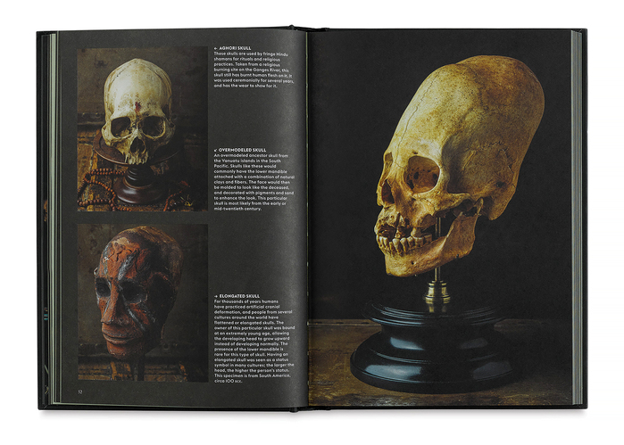 Skulls: Portraits of the Dead and the Stories They Tell 6