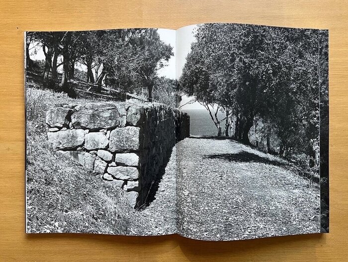 The Order of Landscape by João Gomes da Silva 2