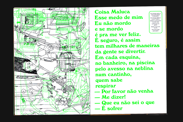 Ana Frango Elétrico – Me Chama De Gato Que Eu Sou Sua album art 8
