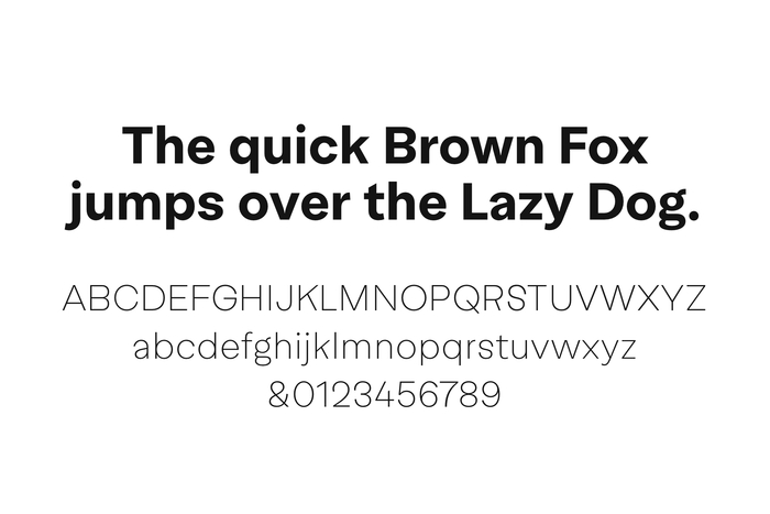 The developed custom typeface, later licensed as Easy Grotesk