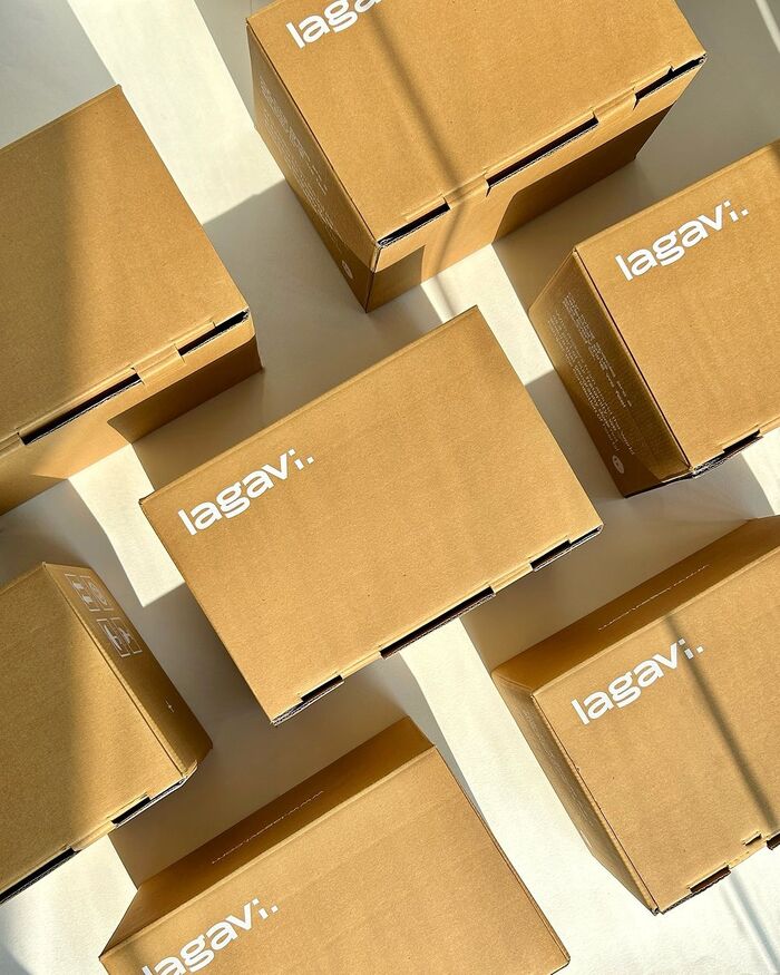 Lagavi wordmark and website 2