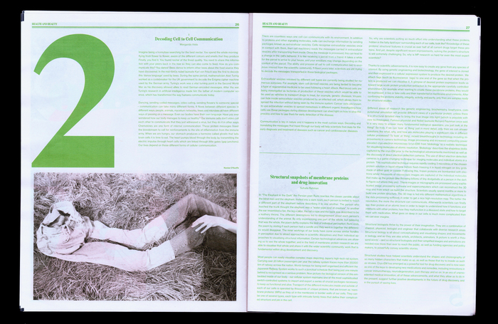 Hot Potato issue 4 6