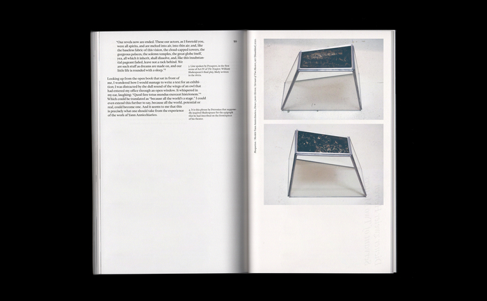 De papillons de nuit et de l’échelle de Muybridge / Of Moths and Muybridge’s Scale by Yann Annicchiarico 4