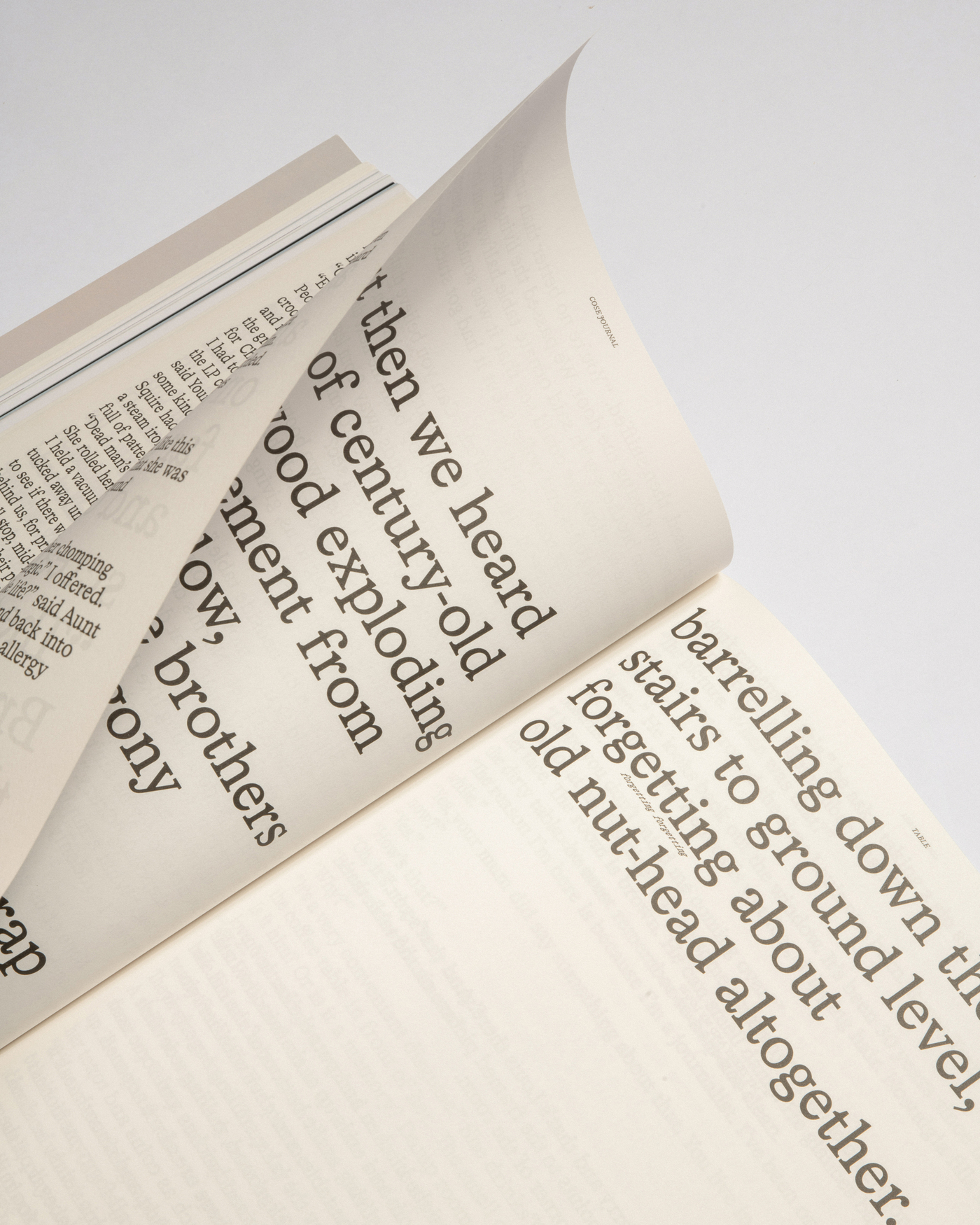 COSE, issue 1, “TABLE” - Fonts In Use