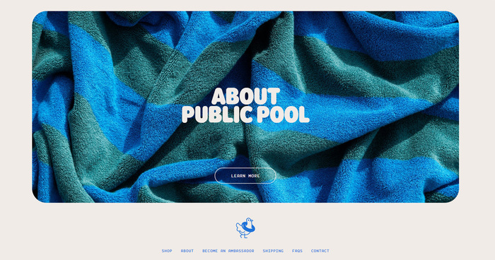 Public Pool branding and website 13