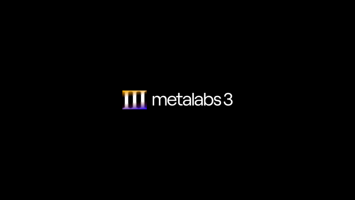 Metalabs3 1