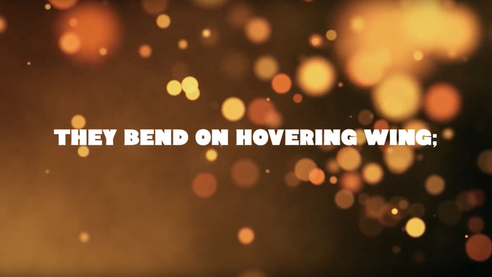 Sweeteverafter – “It Came Upon a Midnight Clear” music video 2