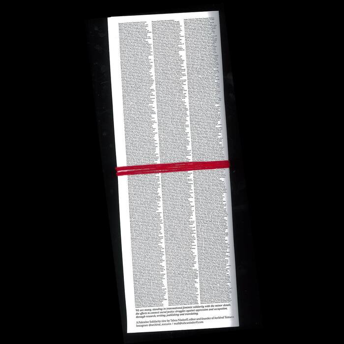 Palestine Solidarity Zine 8