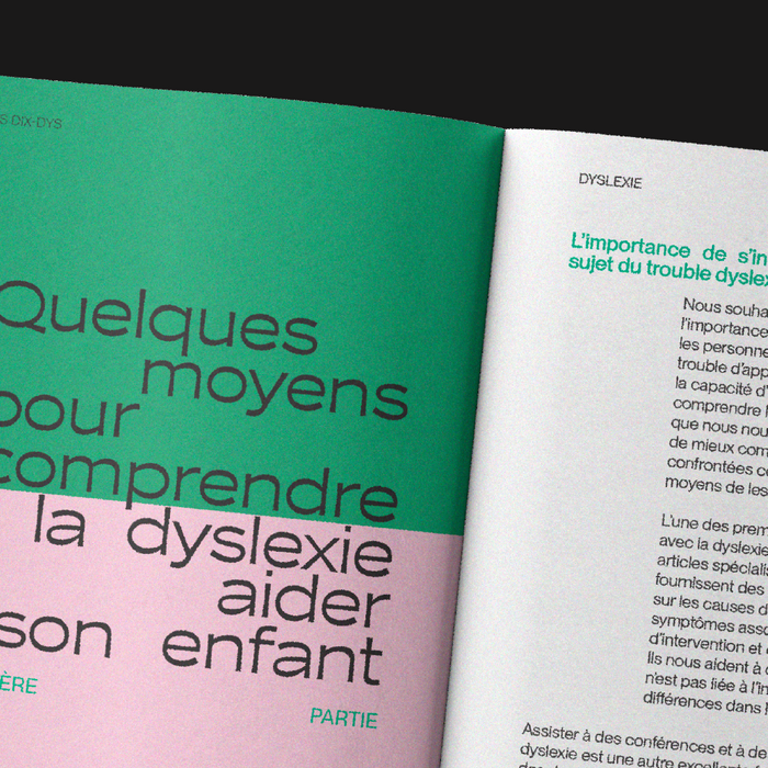 Leurs Dix-Dys, LISAA student project 3