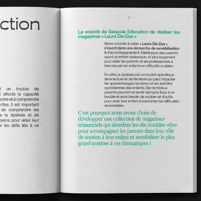 Leurs Dix-Dys, LISAA student project 4