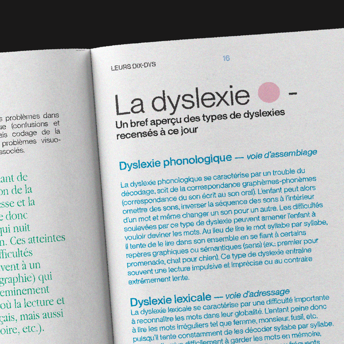 Leurs Dix-Dys, LISAA student project 5