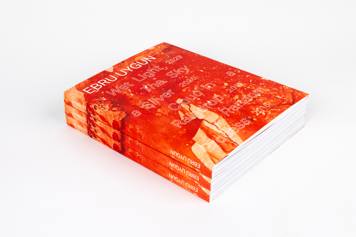Ebru Uygun monograph 2