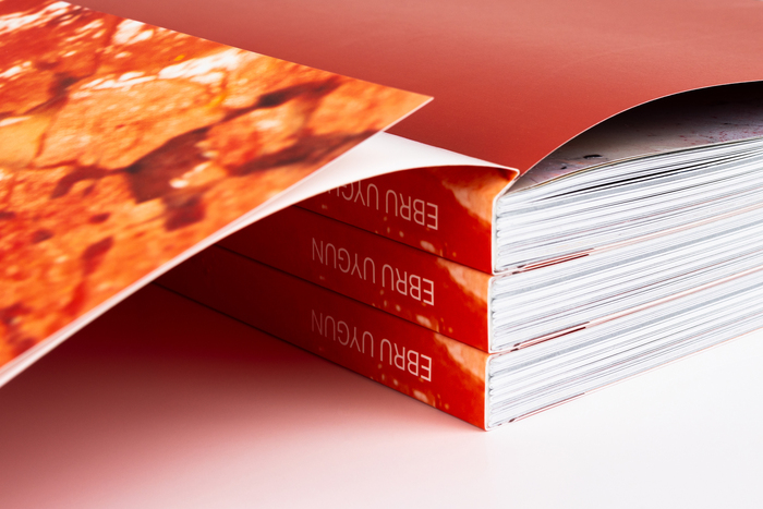 Ebru Uygun monograph 3