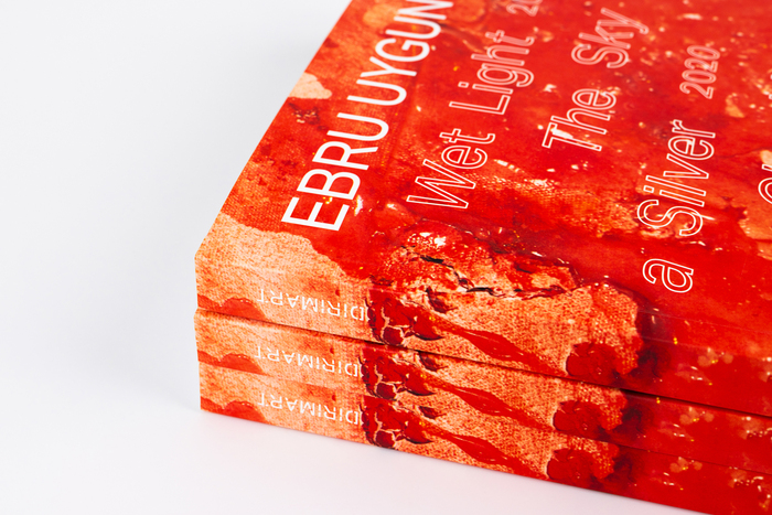 Ebru Uygun monograph 4