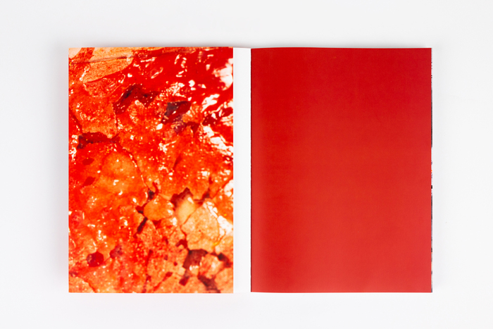 Ebru Uygun monograph 5