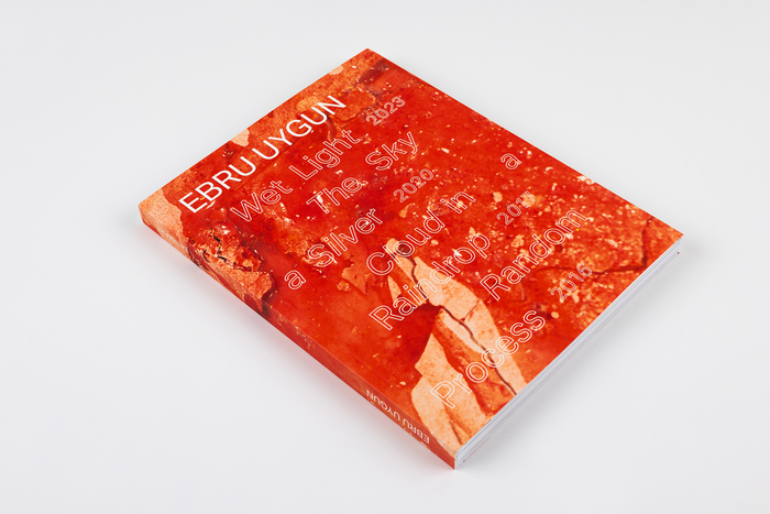 Ebru Uygun monograph 19
