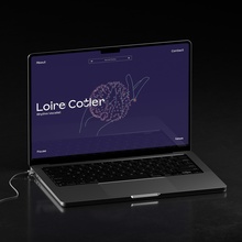 Loire Cotler website