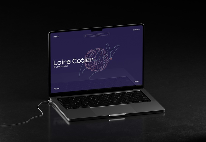 Loire Cotler website 1