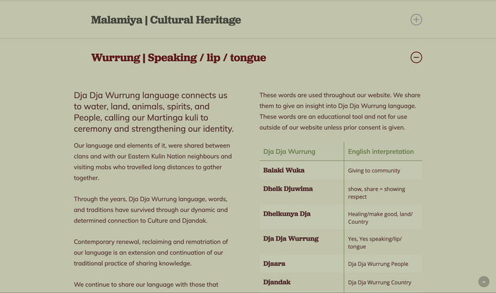 Website detail