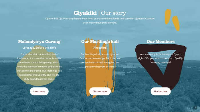 Website detail