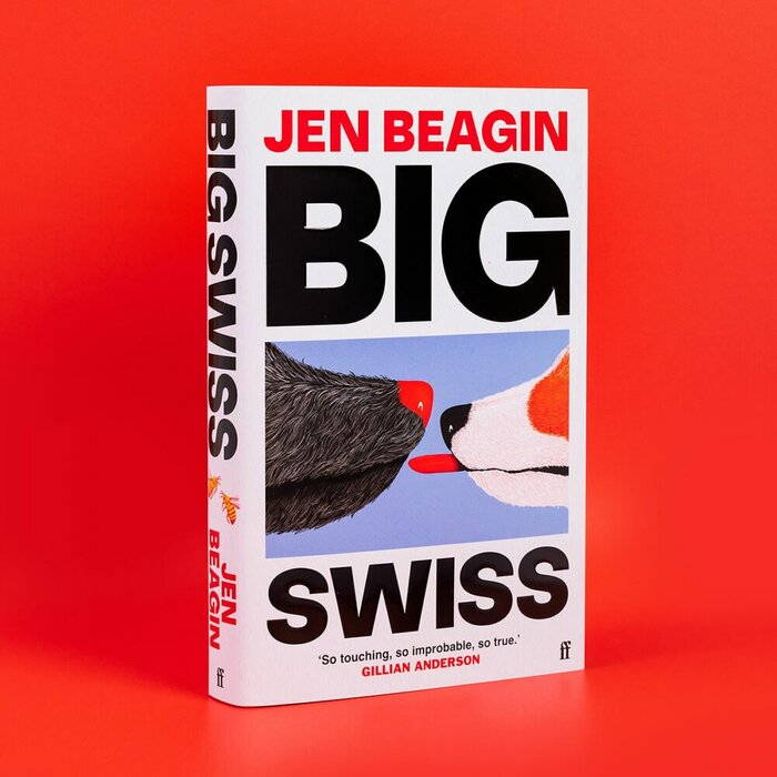 Big Swiss by Jen Beagin (Faber &amp; Faber) 1