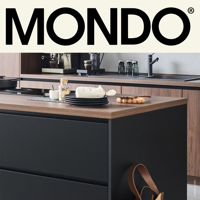 Mondo website 1
