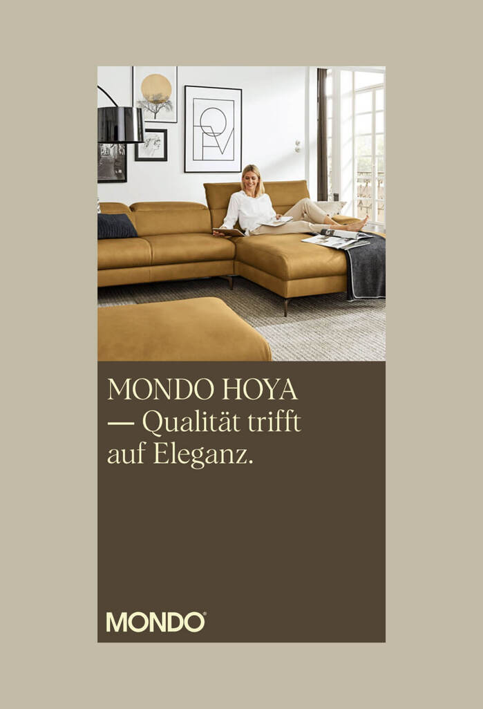 Mondo website 4