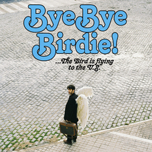 The Bird Yellow – <cite>Bye Bye Birdie!</cite> concert poster