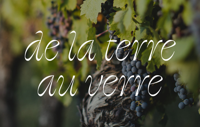 Clos Gisone 8